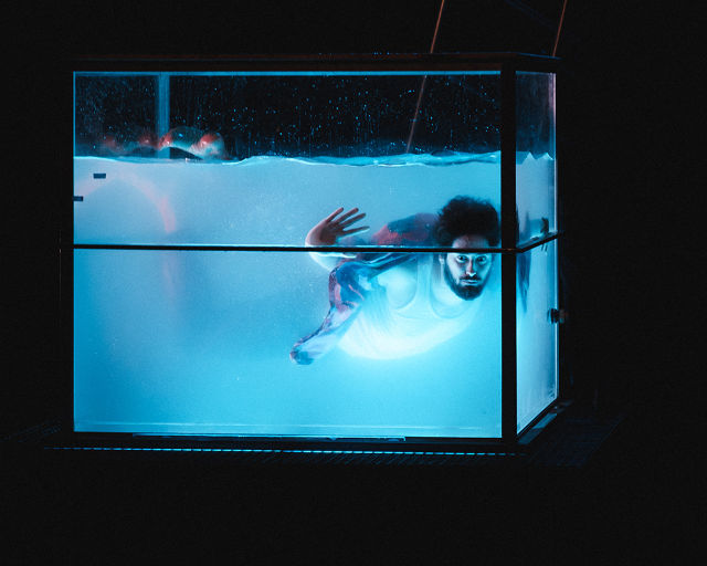 Vanish de Lucie Berelowitsch