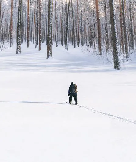 AVIGNON OFF 2024 : »Dans les forêts de Sibérie », le choc de deux titans : William Mesguich et  Sylvain Tesson