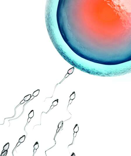 Avignon OFF 2024 : « Gamètes » ; au-delà du principe féministe