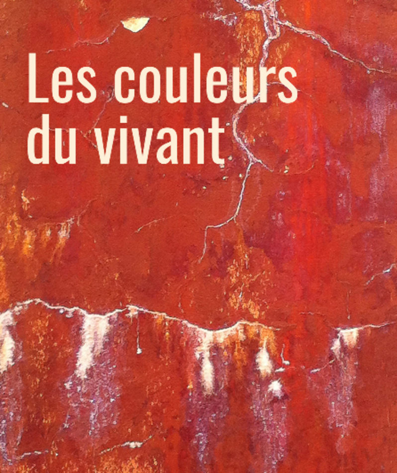 Les couleurs du vivant : Stella Serfaty ressuscite la George Sand écologiste au Festival Off d&rsquo;Avignon 2026